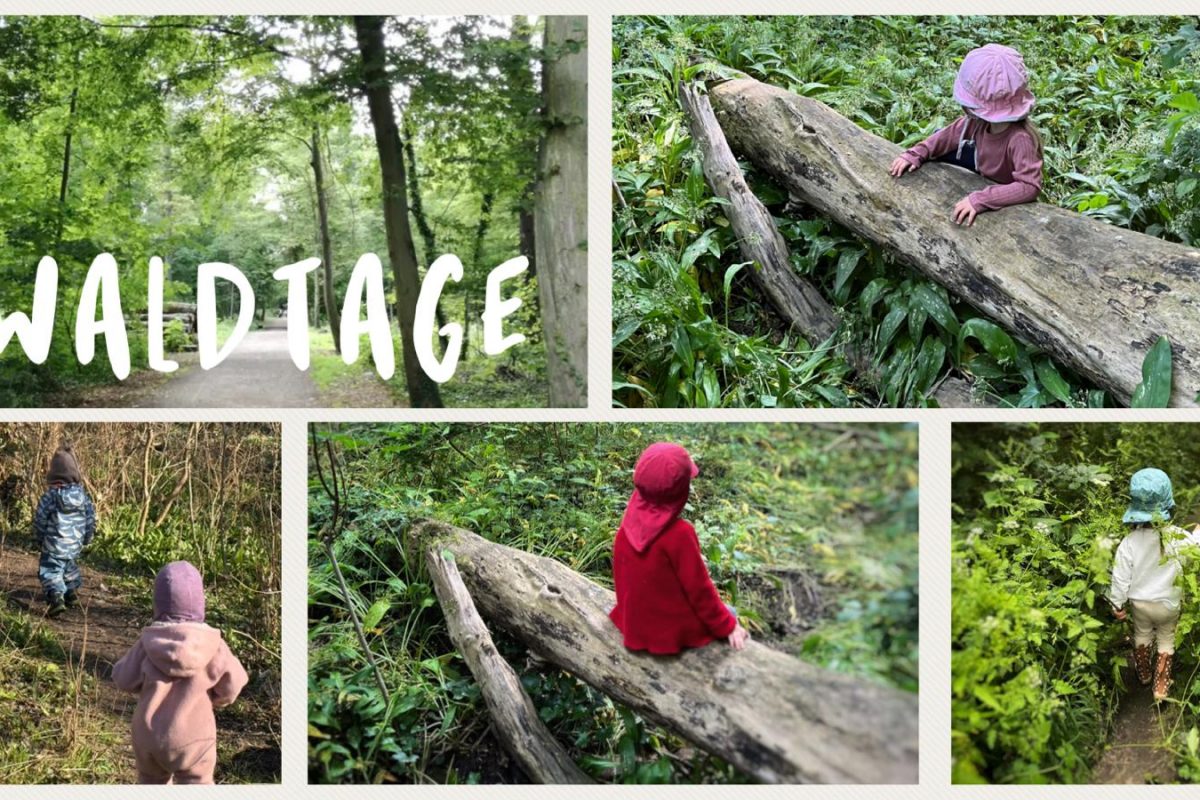 Eine Collage mit fünf verschiedenen Bilder zum Thema Waldtage. Die Bilder zeigen Kinder, die den Wald erkunden.