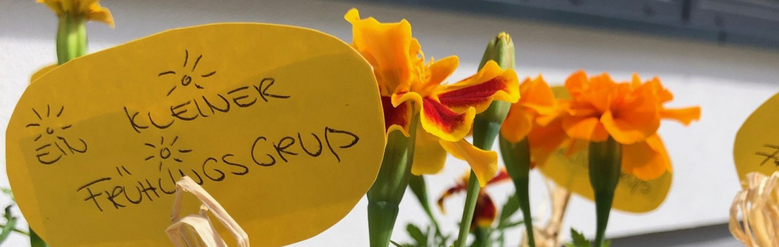 IMG 0304 rotated 1100x350 1 - Mütterzentrum e.V. Leipzig