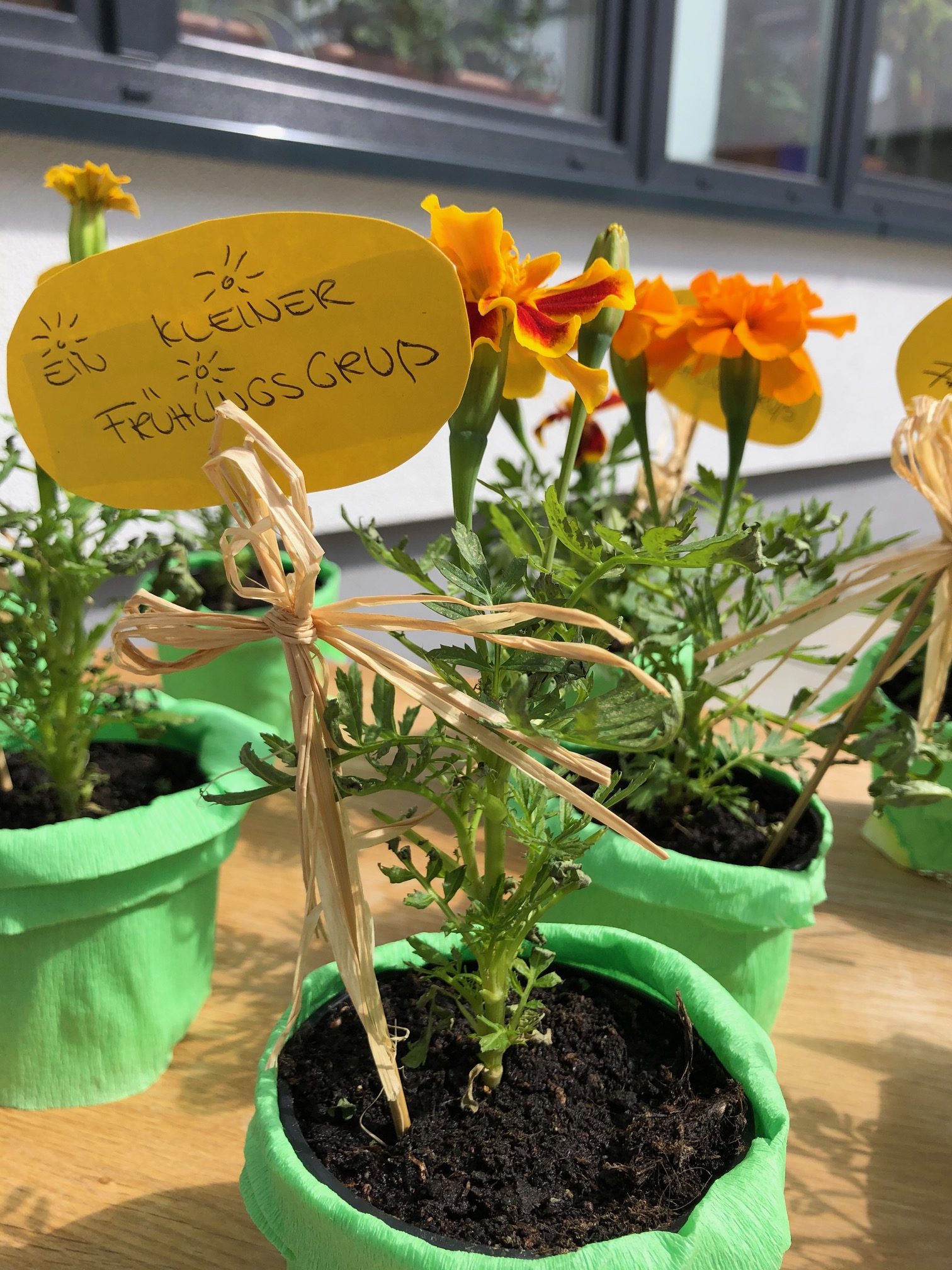 IMG 0304 rotated - Mütterzentrum e.V. Leipzig