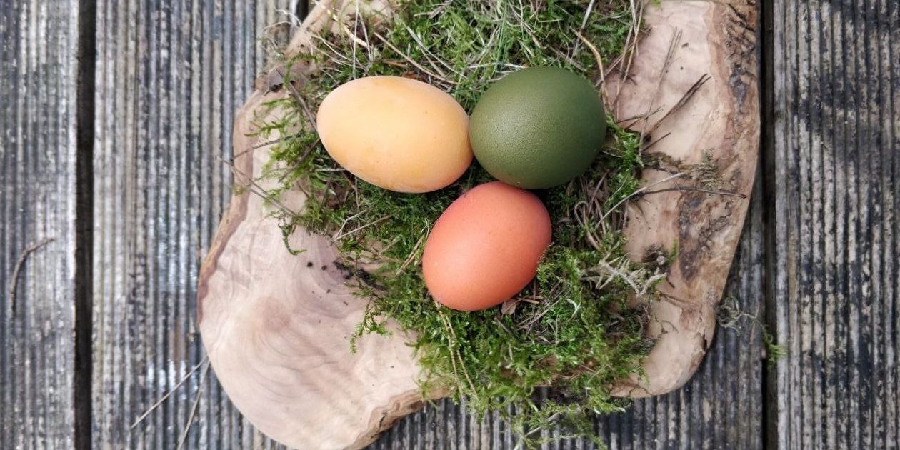 ostern rotated - Mütterzentrum e.V. Leipzig