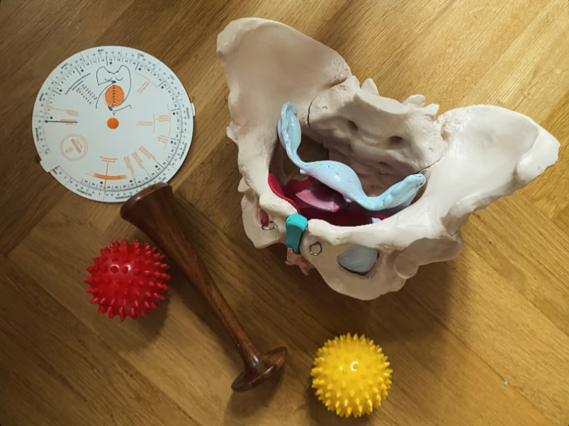 Geburtsvorbereitung Leonie Gerber - Mütterzentrum e.V. Leipzig