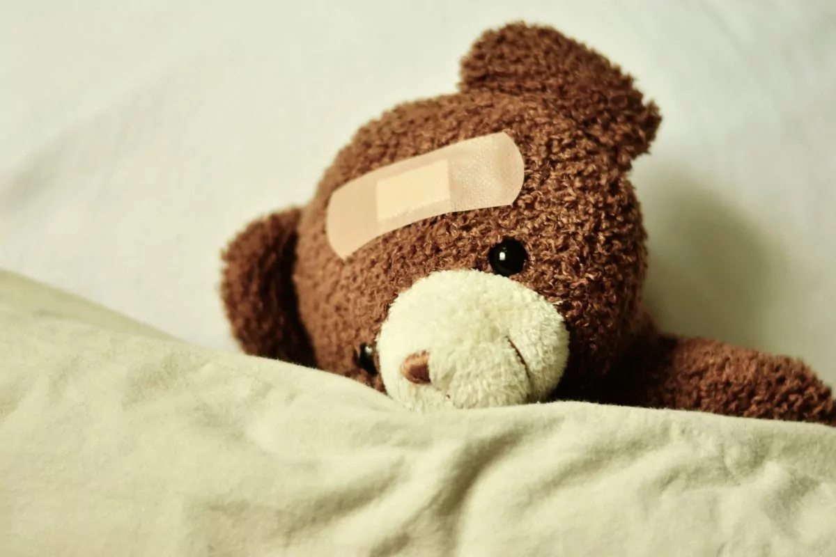 teddy 3183563 scaled - Mütterzentrum e.V. Leipzig