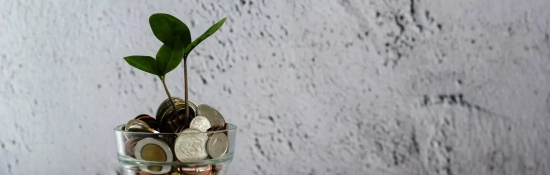 micheile dot com f030K9IzpcM unsplash scaled 1100x350 1 - Mütterzentrum e.V. Leipzig